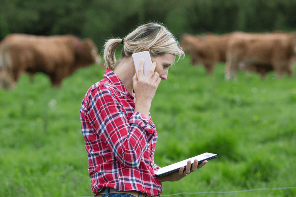 Agricultural manager in a red check shirt, talking on the phone and looking at a tablet with pastures and cows in the background