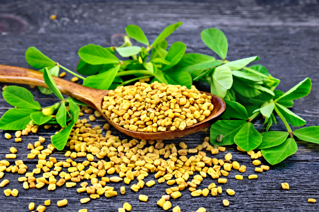 Herbs for Weight Loss - Fenugreek leaves and seeds on a wooden spoon