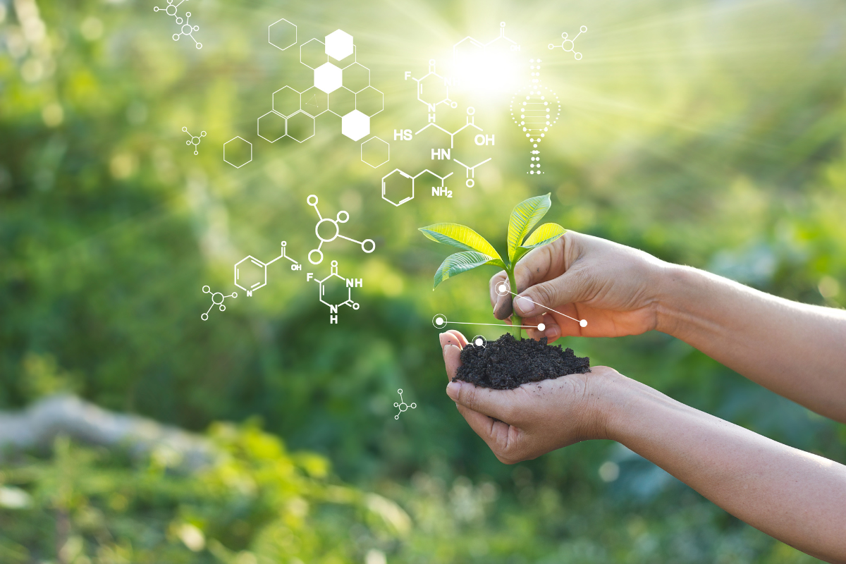 Jobs in Plant Biology Feature Image from Canva of a persons hands holding soil and a seedling