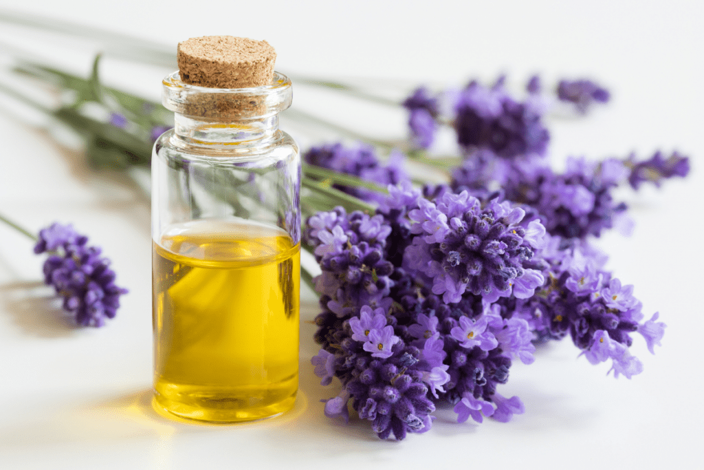Eco-friendly Essential Oils p Pure lavender essential oil and lavender blooms