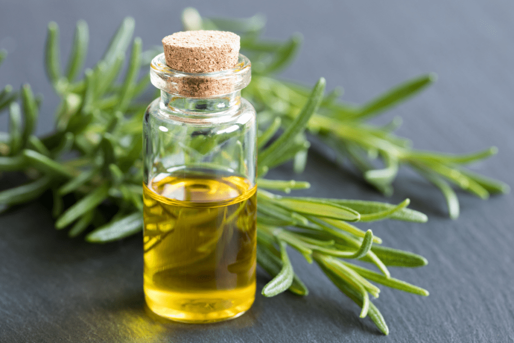 Eco-friendly Essential Oils - Rosemary and a bottle of Rosemary Essential Oil