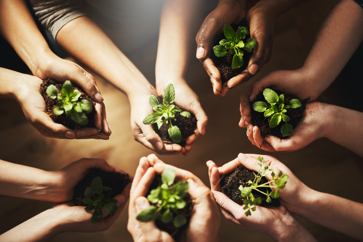Promoting Sustainability - Stock Image from Canva of five pairs of hands in a circle holding seedlings in soil