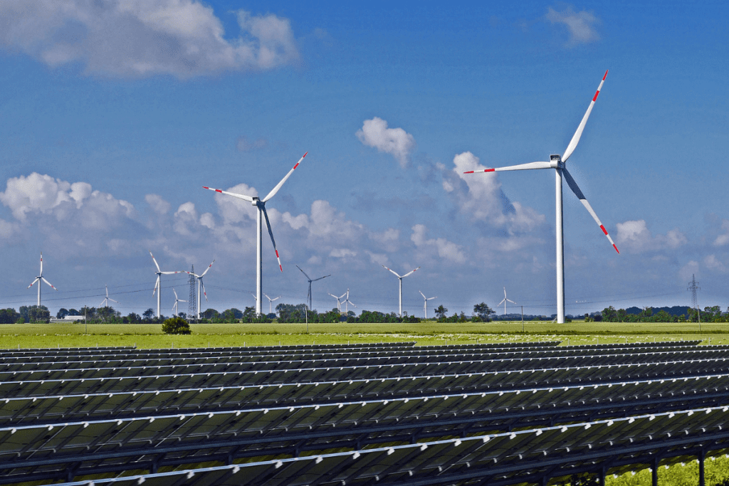 Renewable Energy Farm for green energy options