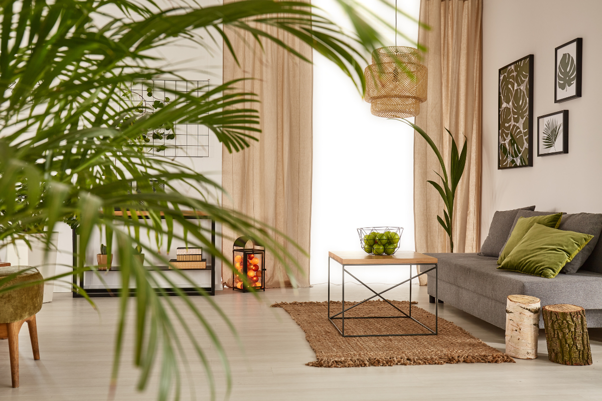 Green Interior Design - Natural Tones