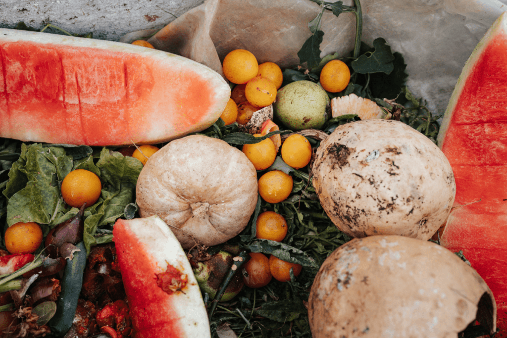 Eco-friendly Agriculture - Food waste