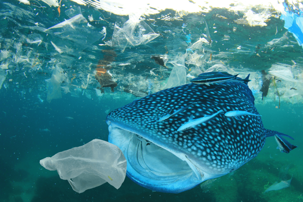 Plastic and garbage floating in the ocean, with sea life swallowing plastic bags