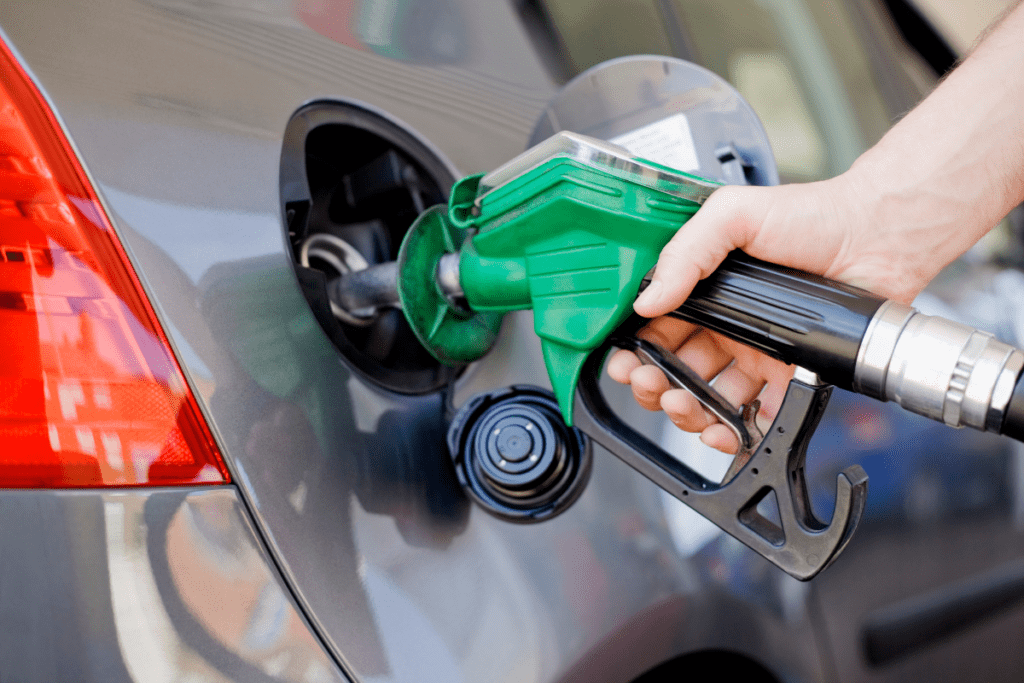 Eco-friendly Car Owner - Gas