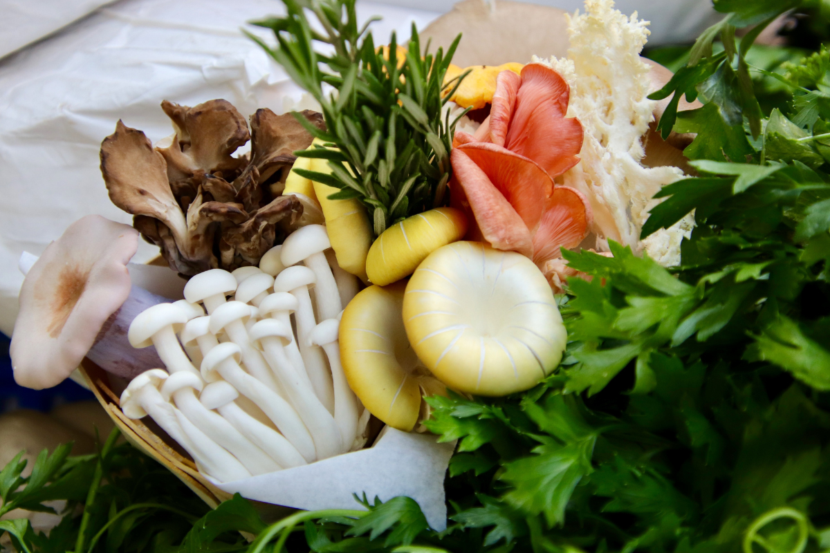 Gourmet Mushrooms