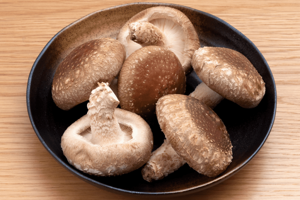 Gourmet Mushrooms - Shiitake 
