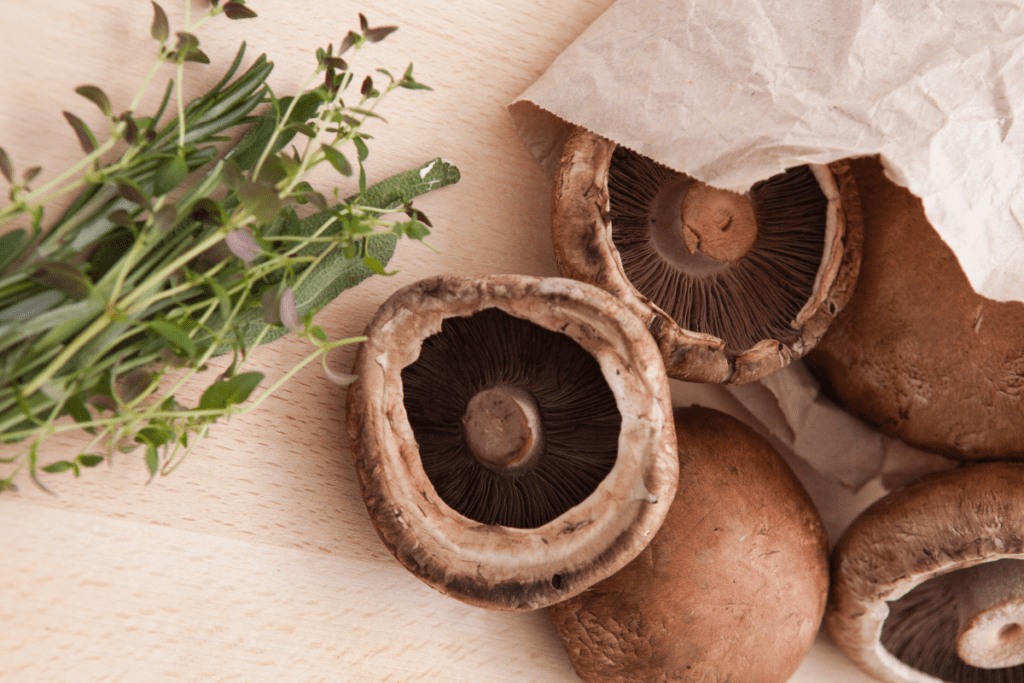 Gourmet Mushrooms - Portobello Mushrooms
