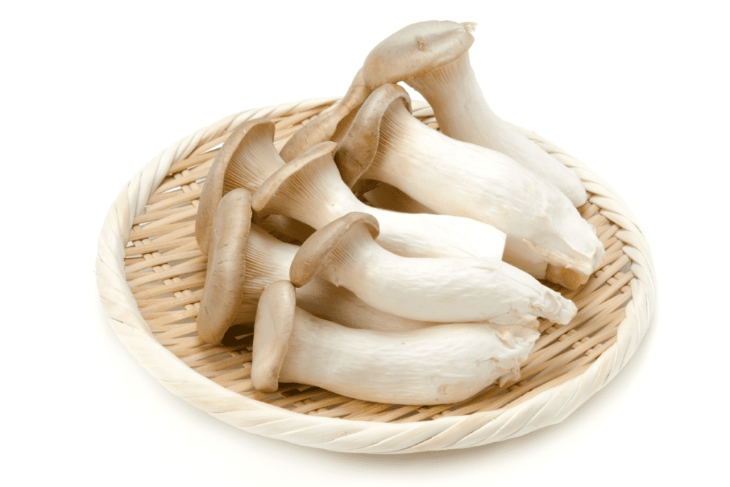 Gourmet Mushrooms - Trumpet/King Oyster Mushrooms