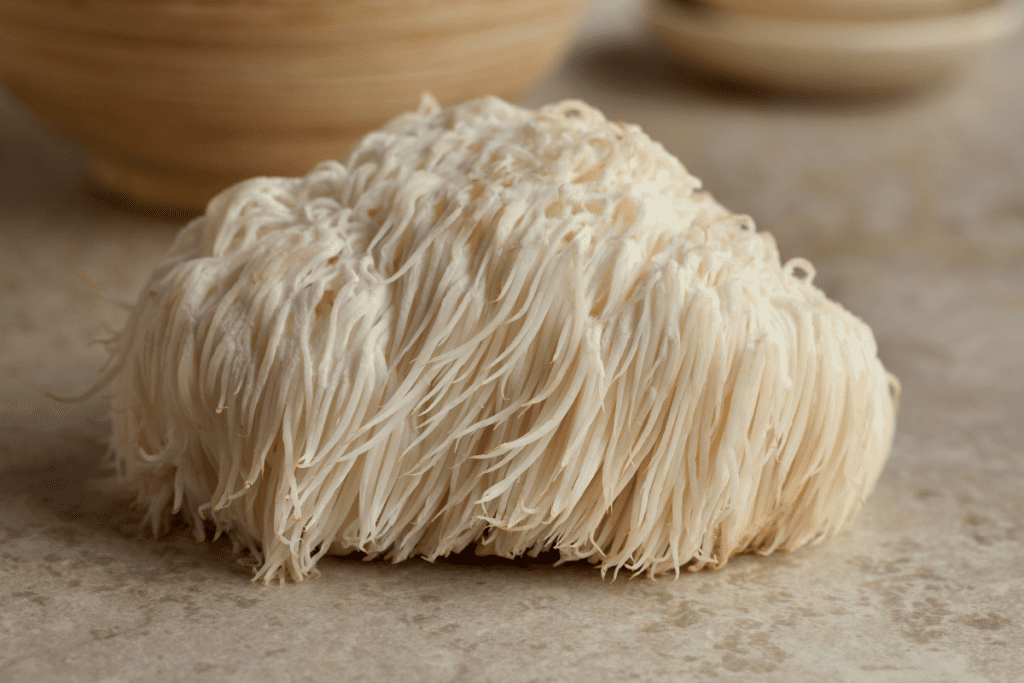 Gourmet Mushrooms - Lions Mane Mushrooms