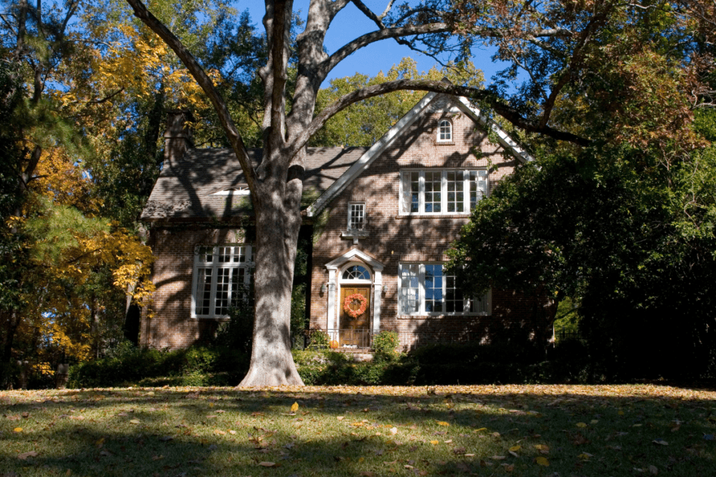 Tree Trimming Benefits - Stock image of a house with trees around it casting shade from bright sun