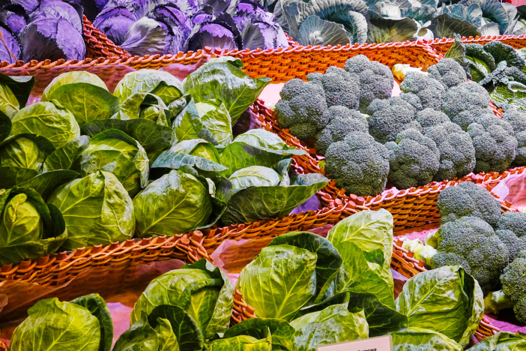 Advantages of Crop Rotation - baskets of various types of cabbages, broccoli and cauliflower