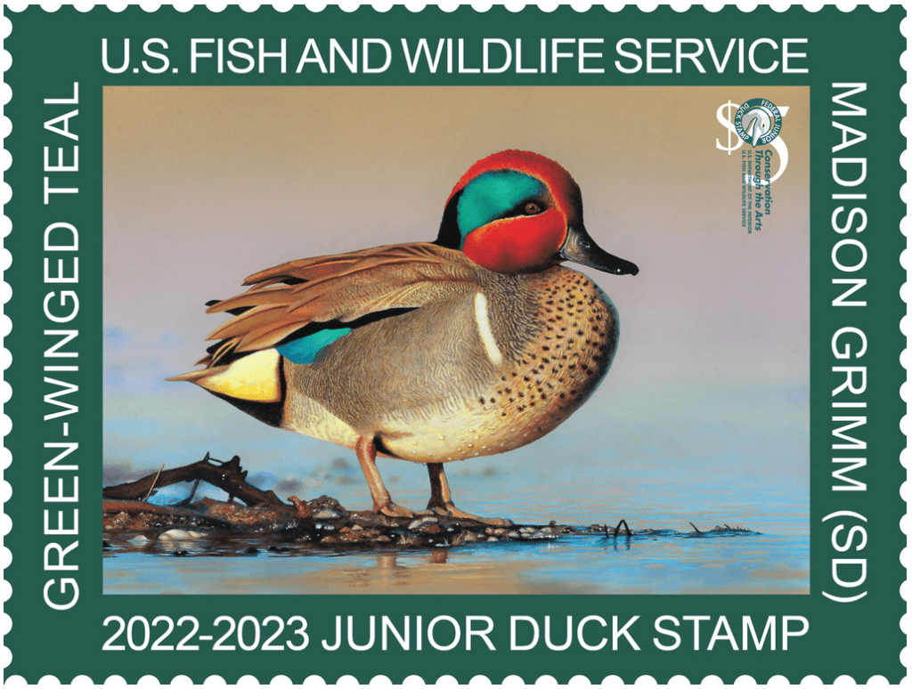 Sustainable Hunting - Duck Stamp