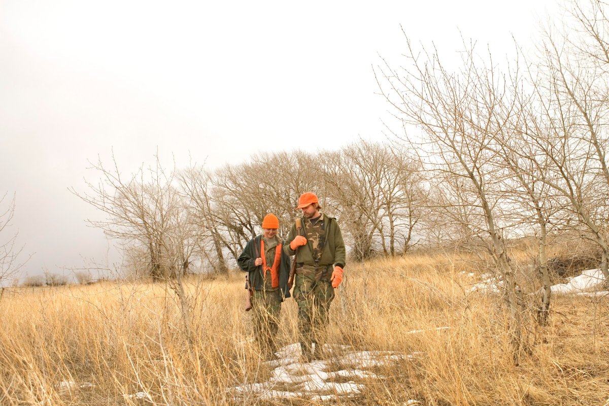 Sustainable Hunting - Feature Image from Canva