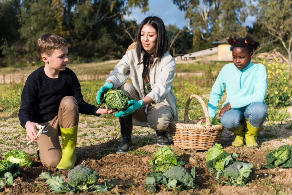 Greening of Detroit - Stock Image from Canva of a woman harvesting veggies from a communal garden with two kids