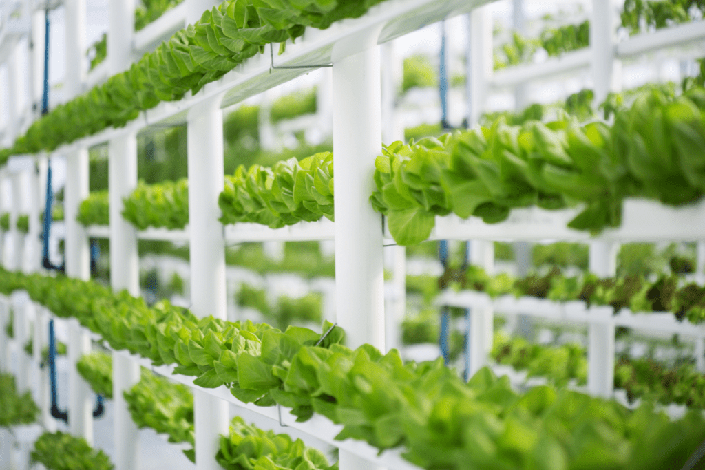 Indoor Vertical Hydroponic Garden