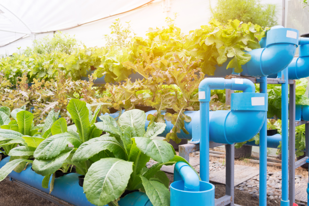 Tiered Vertical Hydroponic Garden