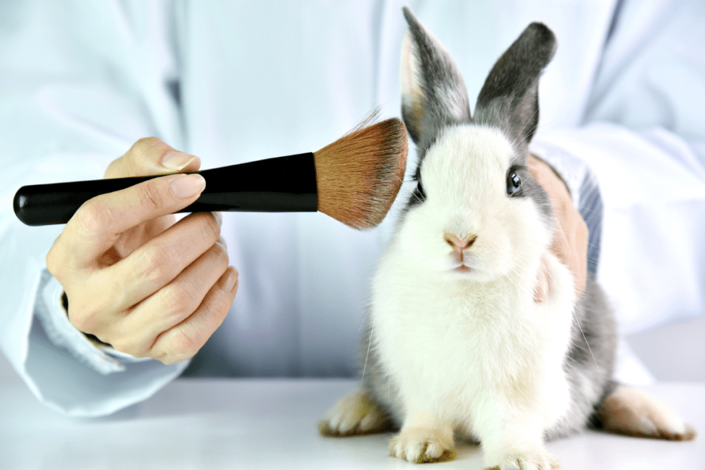 vegan beauty - stock image from Canva of a bunny