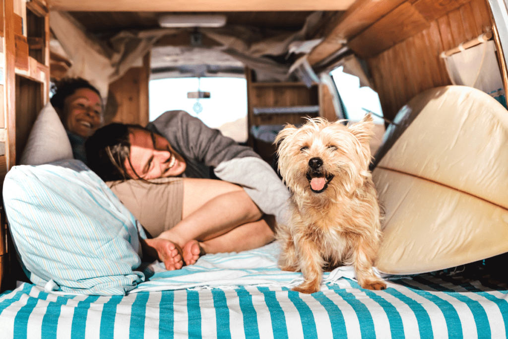 Van Life with a Dog - stock image from canva of a smiling couple with a small dog and a surf board in their camper van