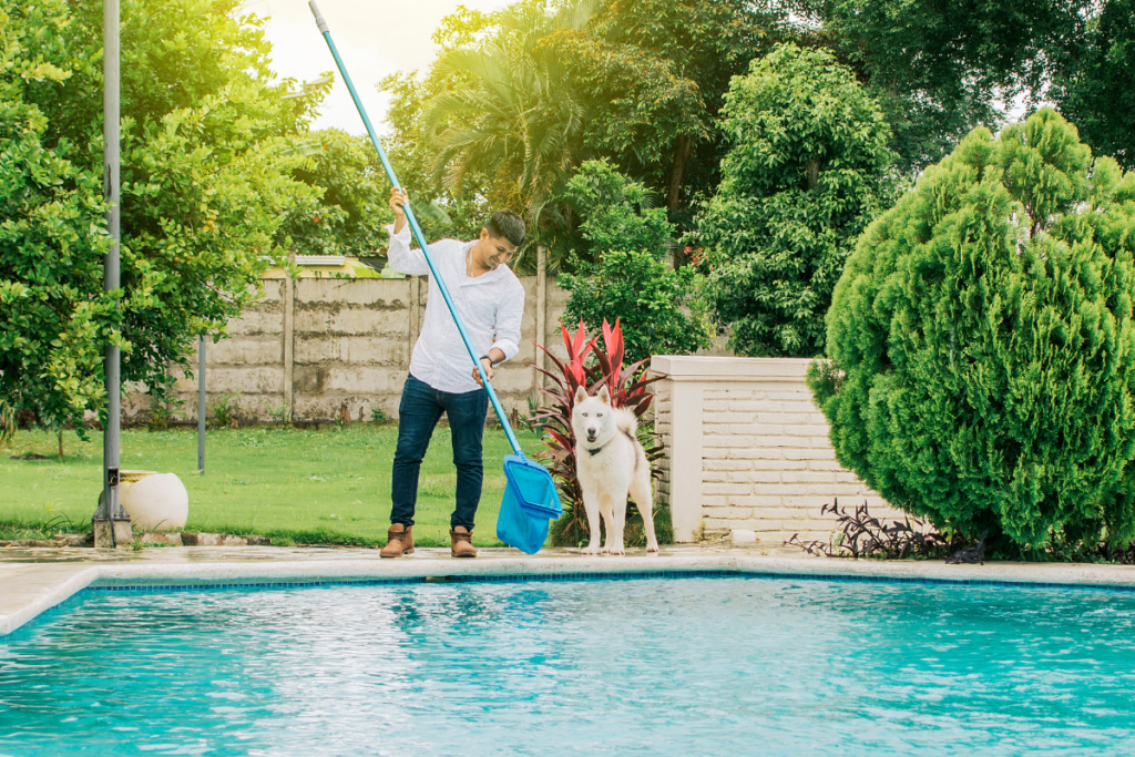 Eco-friendly Pool - Stock Image from Canva of man and his dog cleaning a swimming pool with a net