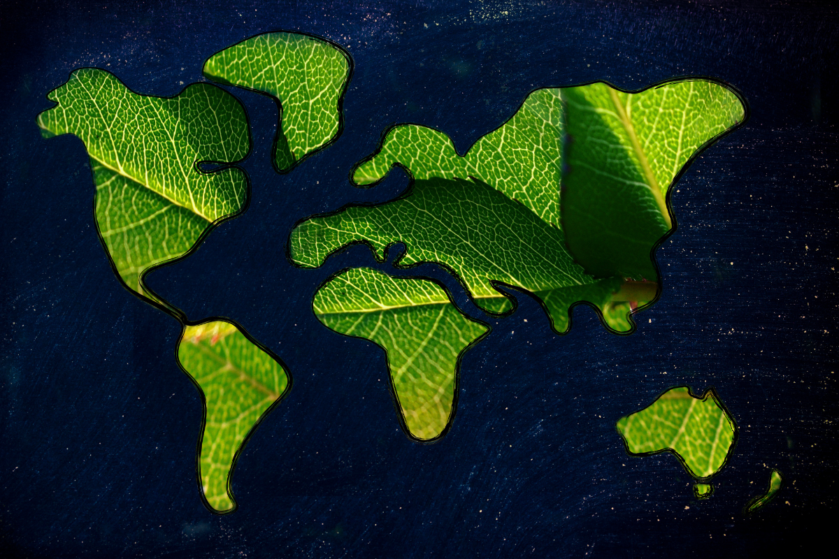 Green Initiatives - Stock Feature Image from Canva