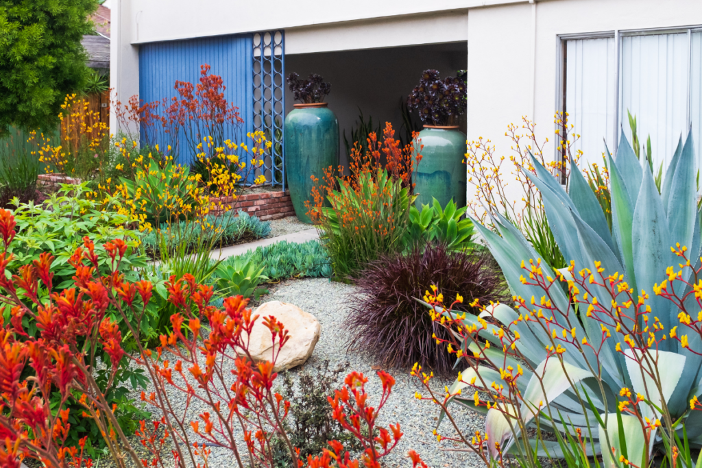 succulent garden