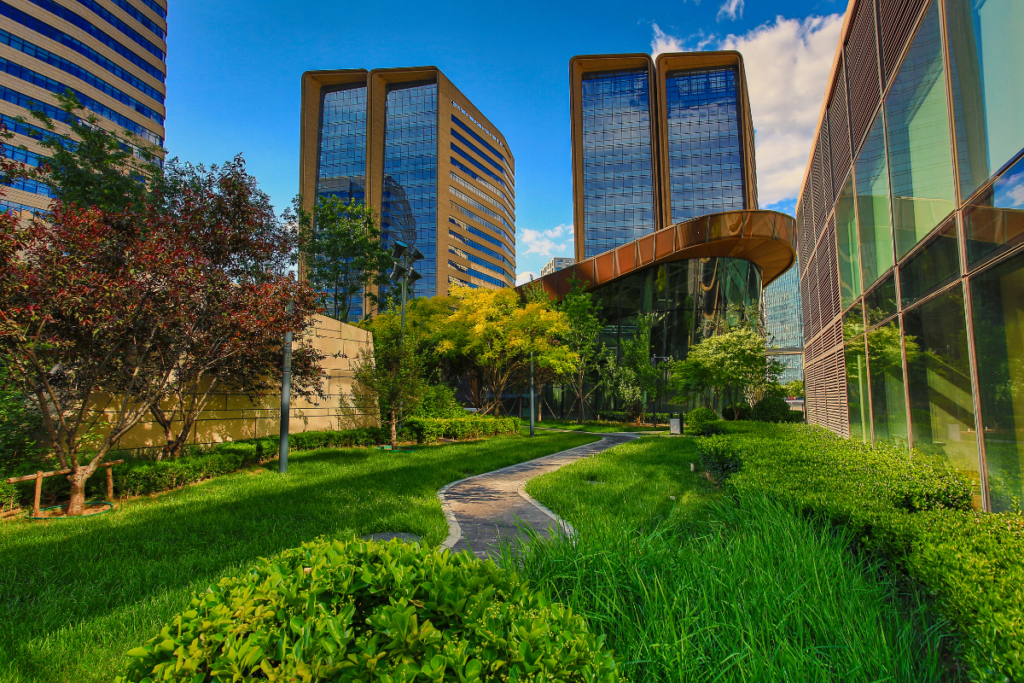 public green space between modern high-rise buildings