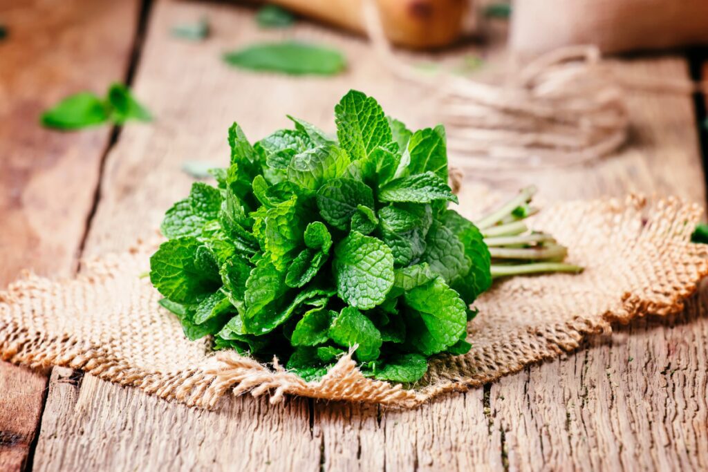 Fresh herbs for the Kitchen - Mint