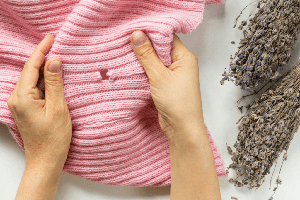 Eco-friendly Pest Control - Moth-eaten Jumper and Lavender bunches