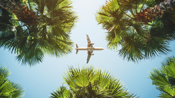 Eco-friendly airlines - stock image from Canva of a plane in the sky, framed by green tree tops