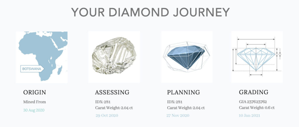 Sustainable Procurement and Blockchain Case Study: Everledger Diamond Journey