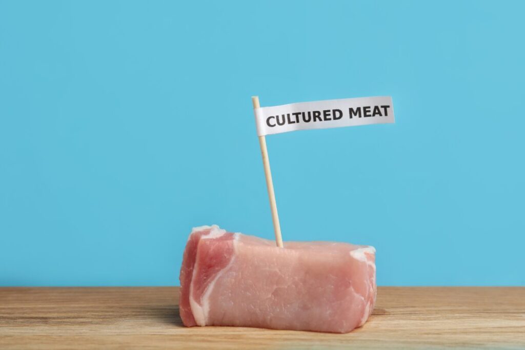 Cultured Meat