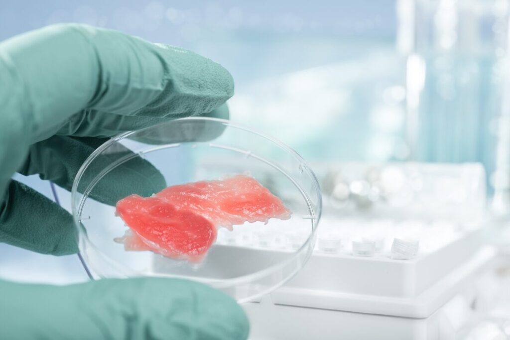 Small samples of meat in a glass dish in a lab