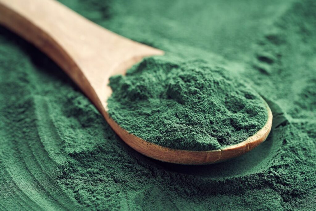 Closeup of green Spirulina algae powder on a wooden spoon