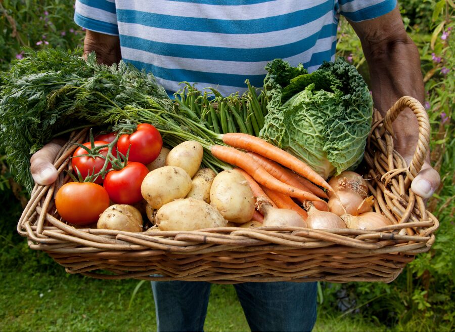Growing your own food