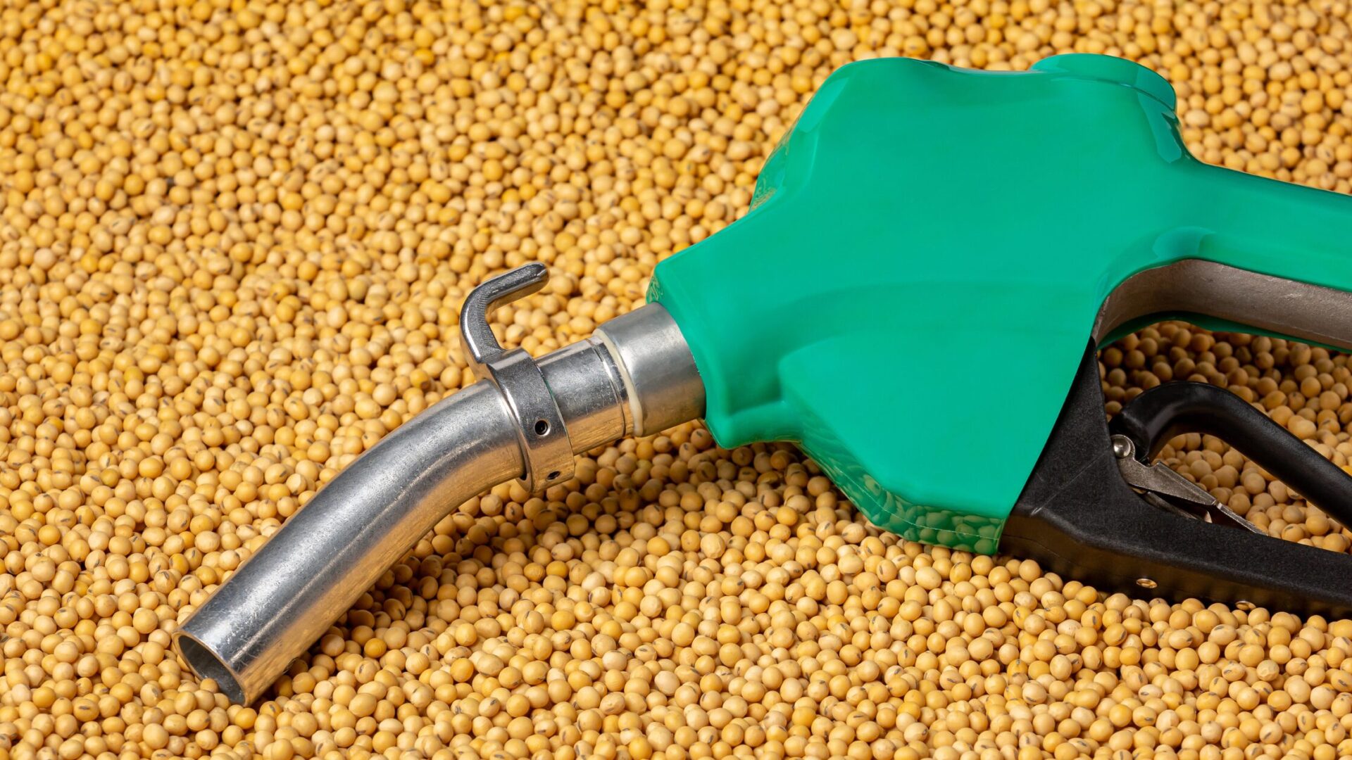 Renewable diesel