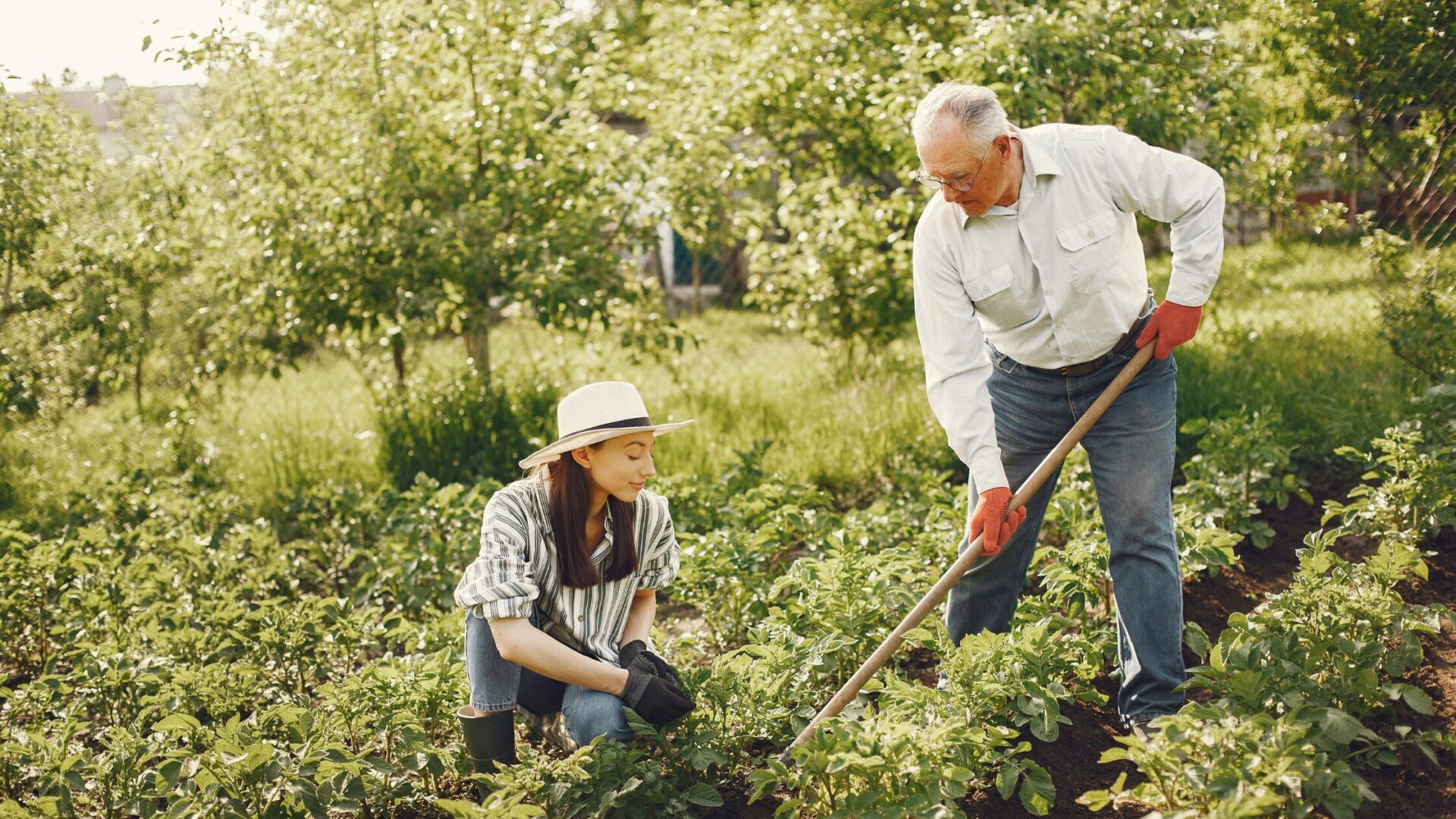Sustainable backyard farming