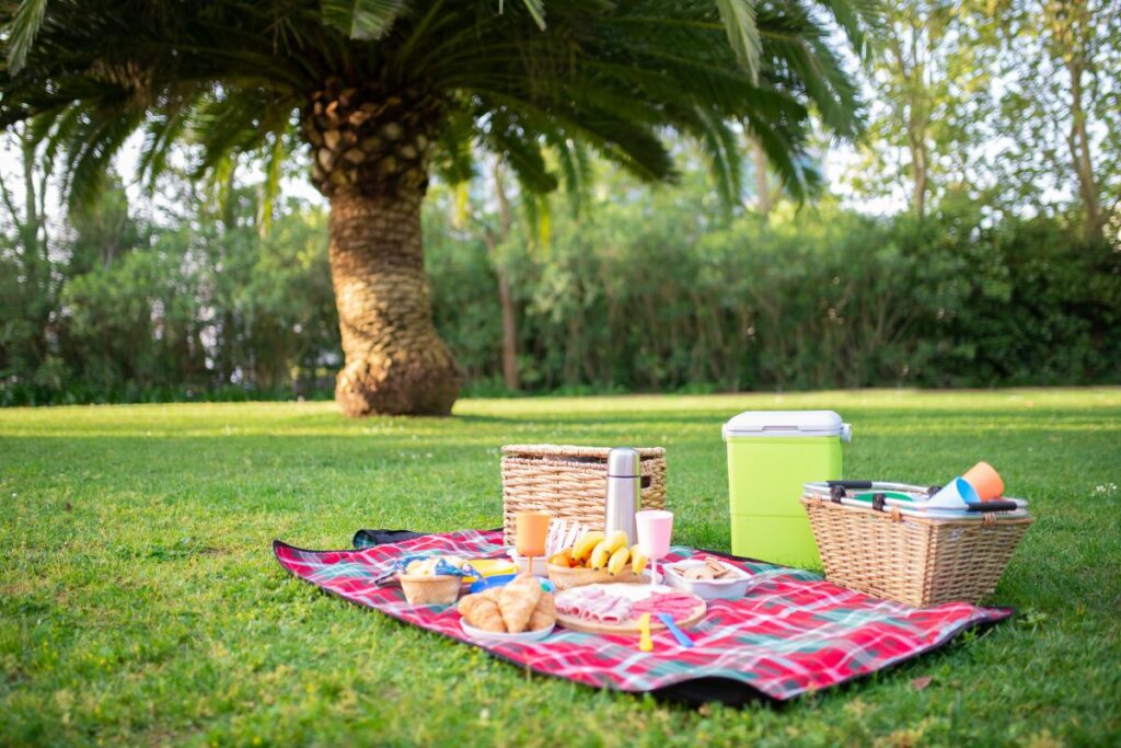 A red blanket, picnic basket, assorted healthy foods