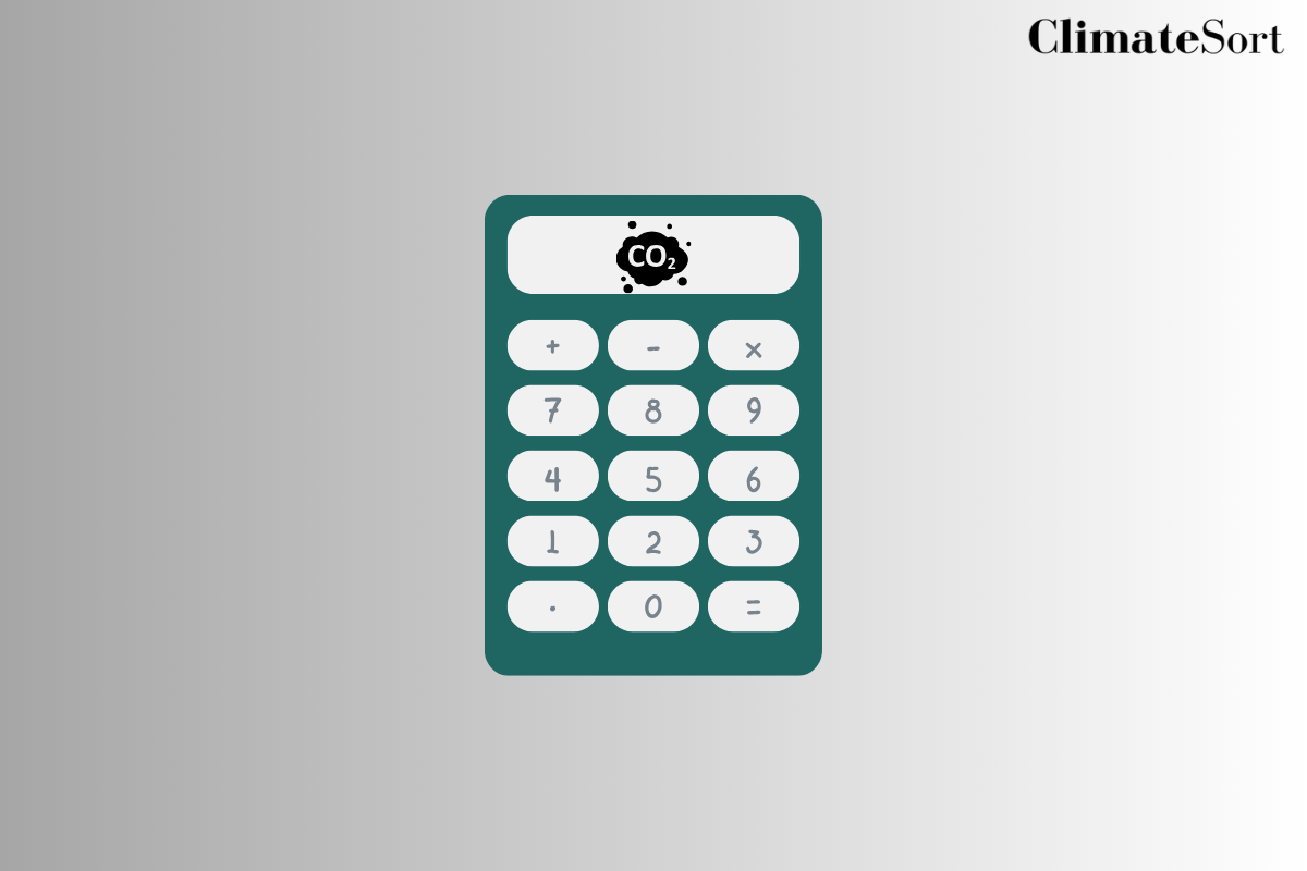 Carbon Accounting
