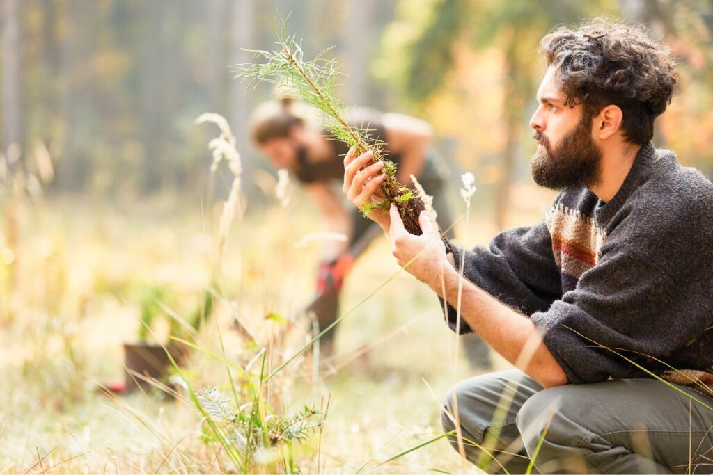 A man planting trees in the forest