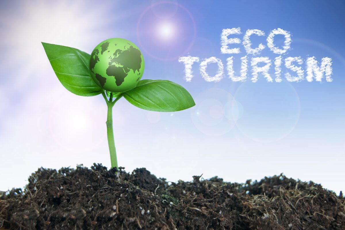 Ecotourism: Strategies for Sustainable Travel in 2024 and Beyond