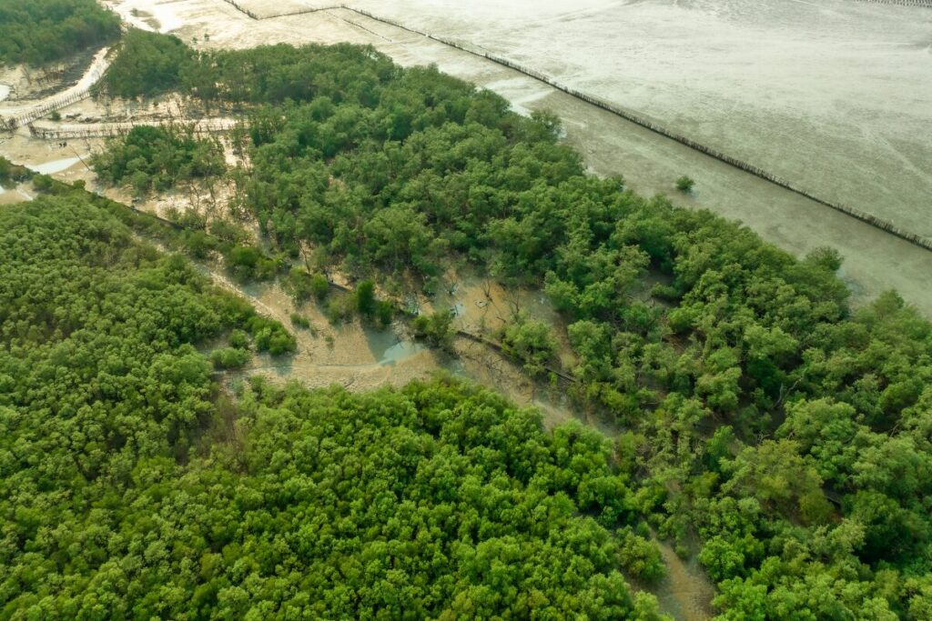 A reservoir is an enlarged lake behind a dam.