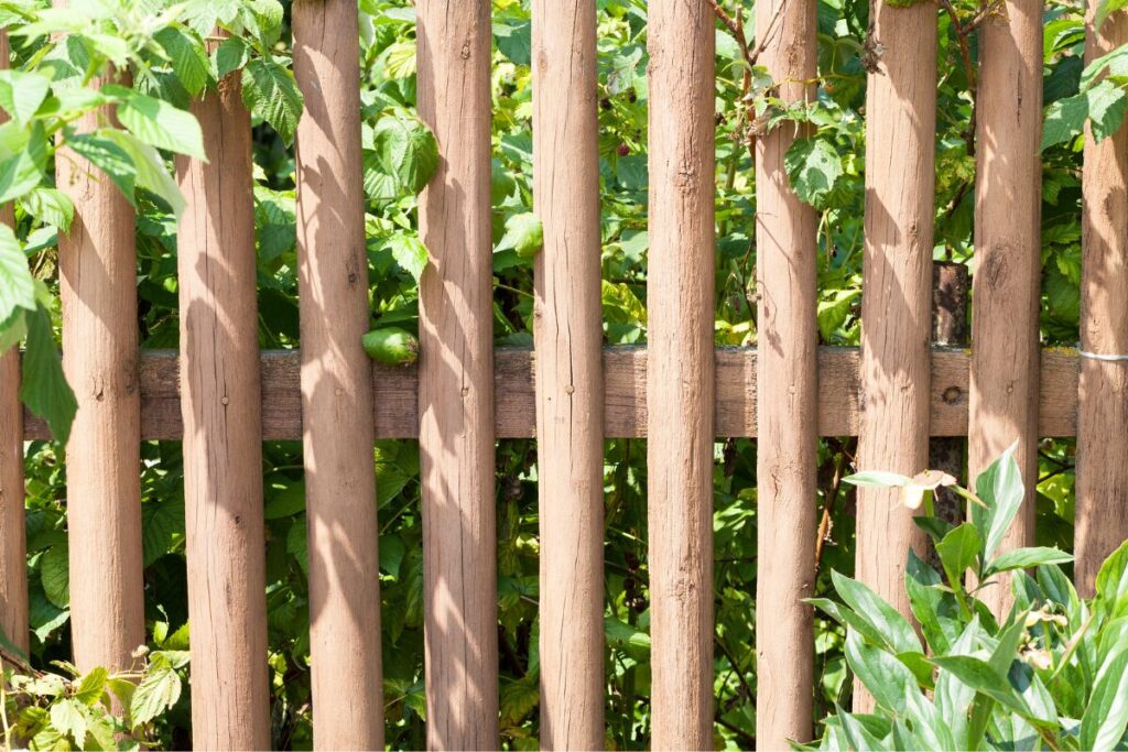 Natural fence made of woods