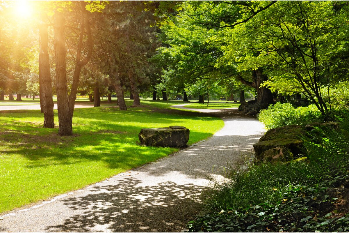 Eco friendly park - feature
