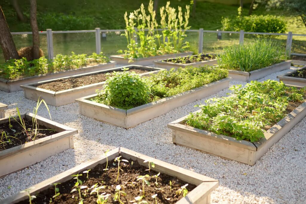 Community garden with different plants