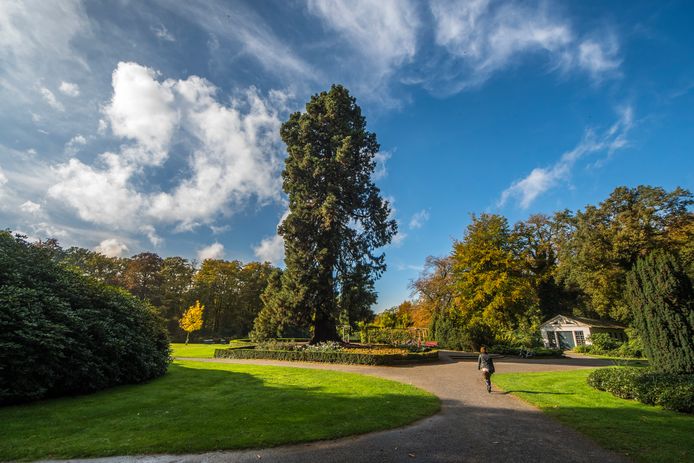 abraham ledeboerpark