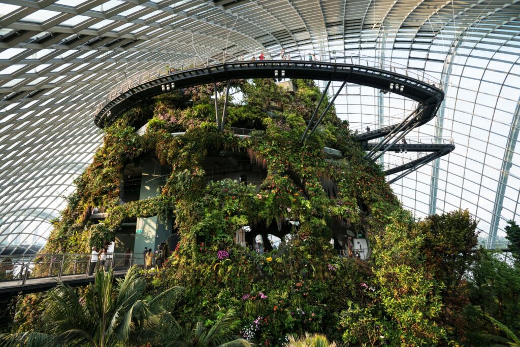 gardens by the bay