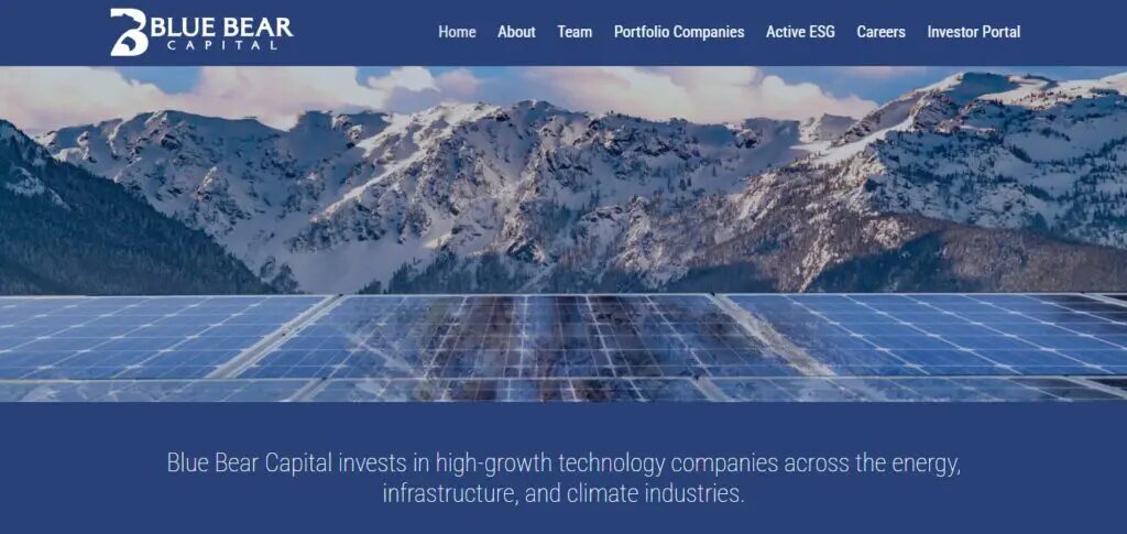 Blue-Bear-Capital-Homepage